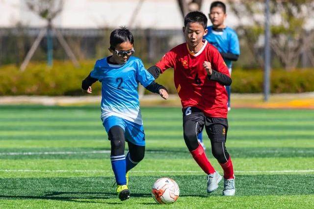 王哲林消极行为引发争议 上海不敌福建1胜3负